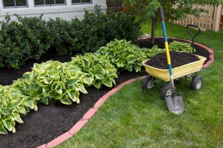 Mulch, Plant, and Soils